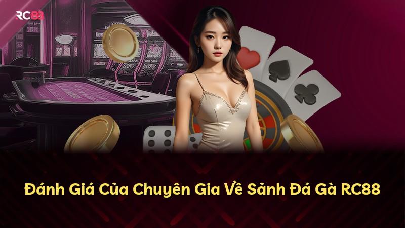 Đánh Giá Của Chuyên Gia Về Sảnh Đá Gà RC88