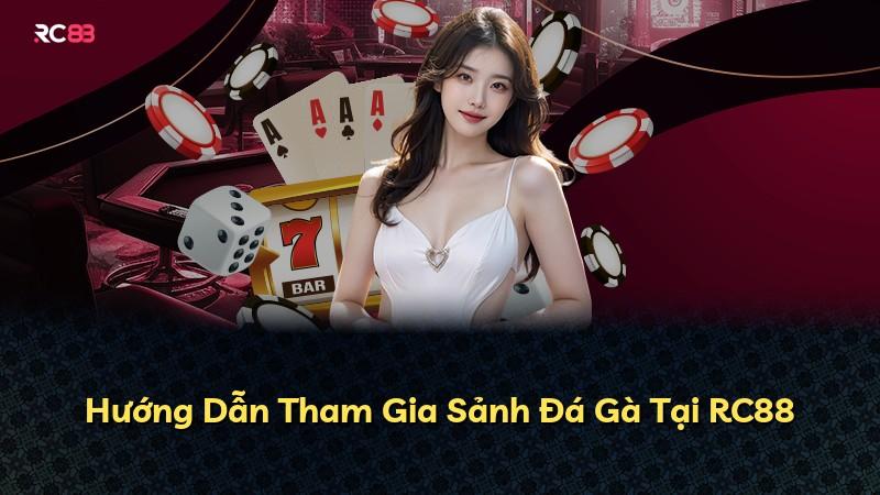 Hướng Dẫn Tham Gia Sảnh Đá Gà Tại RC88