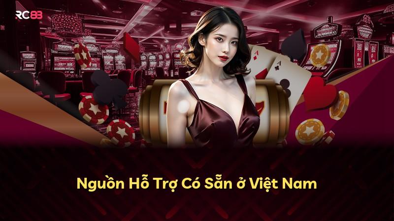 Nguồn Hỗ Trợ Có Sẵn ở Việt Nam
